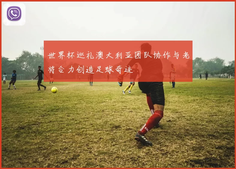 世界杯巡礼澳大利亚团队协作与老将合力创造足球奇迹